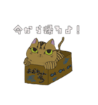 【家族連絡用】あおとこなつ（個別スタンプ：2）