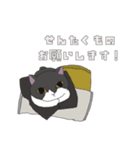 【家族連絡用】あおとこなつ（個別スタンプ：5）