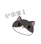 【家族連絡用】あおとこなつ（個別スタンプ：7）