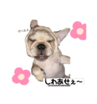 mikeとtyson第4弾♡（個別スタンプ：1）