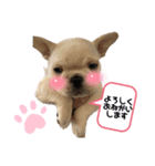 真育と大尊第三弾♡ベビタン（個別スタンプ：6）