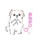 毎日ポコタン2.（個別スタンプ：2）