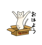 ダイナミックねこ（個別スタンプ：1）