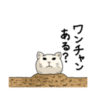 ダイナミックねこ（個別スタンプ：31）