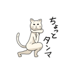 ダイナミックねこ（個別スタンプ：38）