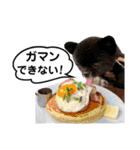 佐野家のすたんぷ（個別スタンプ：19）