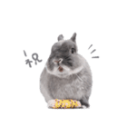 うさぎのこじろう（個別スタンプ：9）
