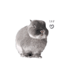 うさぎのこじろう（個別スタンプ：20）