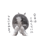 うさぎのこじろう（個別スタンプ：21）