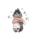 うさぎのこじろう（個別スタンプ：28）