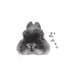 うさぎのこじろう（個別スタンプ：32）