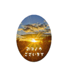 My photograph +（個別スタンプ：1）