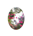 My photograph +（個別スタンプ：5）