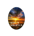 My photograph +（個別スタンプ：7）