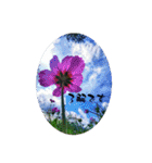 My photograph +（個別スタンプ：9）