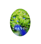 My photograph +（個別スタンプ：13）
