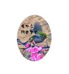 My photograph +（個別スタンプ：14）