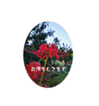 My photograph +（個別スタンプ：17）
