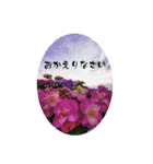 My photograph +（個別スタンプ：23）