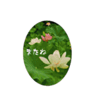 My photograph +（個別スタンプ：27）