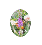 My photograph +（個別スタンプ：30）