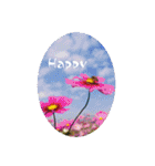 My photograph +（個別スタンプ：33）