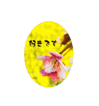 My photograph +（個別スタンプ：34）