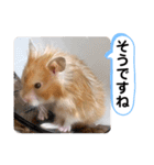 可愛いこつぶの日常3（個別スタンプ：5）
