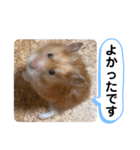 可愛いこつぶの日常3（個別スタンプ：7）