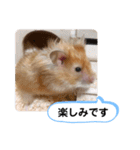 可愛いこつぶの日常3（個別スタンプ：13）