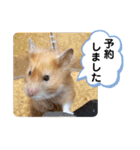 可愛いこつぶの日常3（個別スタンプ：16）