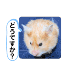 可愛いこつぶの日常3（個別スタンプ：18）