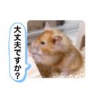 可愛いこつぶの日常3（個別スタンプ：19）