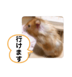 可愛いこつぶの日常3（個別スタンプ：21）