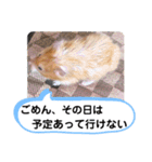 可愛いこつぶの日常3（個別スタンプ：22）