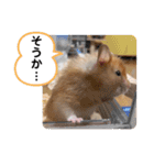 可愛いこつぶの日常3（個別スタンプ：23）