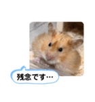 可愛いこつぶの日常3（個別スタンプ：25）