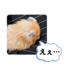 可愛いこつぶの日常3（個別スタンプ：26）
