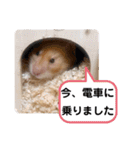 可愛いこつぶの日常3（個別スタンプ：28）