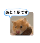可愛いこつぶの日常3（個別スタンプ：29）