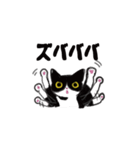 元気な猫と猫（個別スタンプ：25）