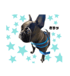 mikeとtyson♡第5弾♡（個別スタンプ：6）