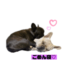 mikeとtyson♡第5弾♡（個別スタンプ：7）