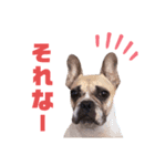 ルロみ（個別スタンプ：1）