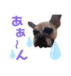 ルロみ（個別スタンプ：3）