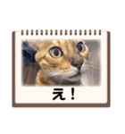 ガルさん（個別スタンプ：28）