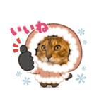 ガルさん（個別スタンプ：32）