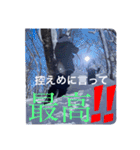 junkies snow（個別スタンプ：4）