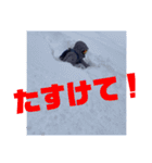 junkies snow（個別スタンプ：8）