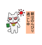 顔が怖い？ねこくん（個別スタンプ：13）